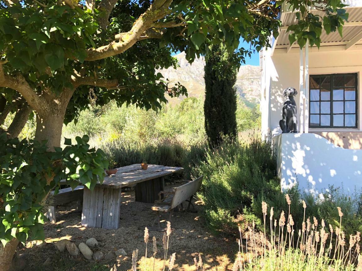 Designer Farm Cottage On Farm Franschhoek Buitenkant foto