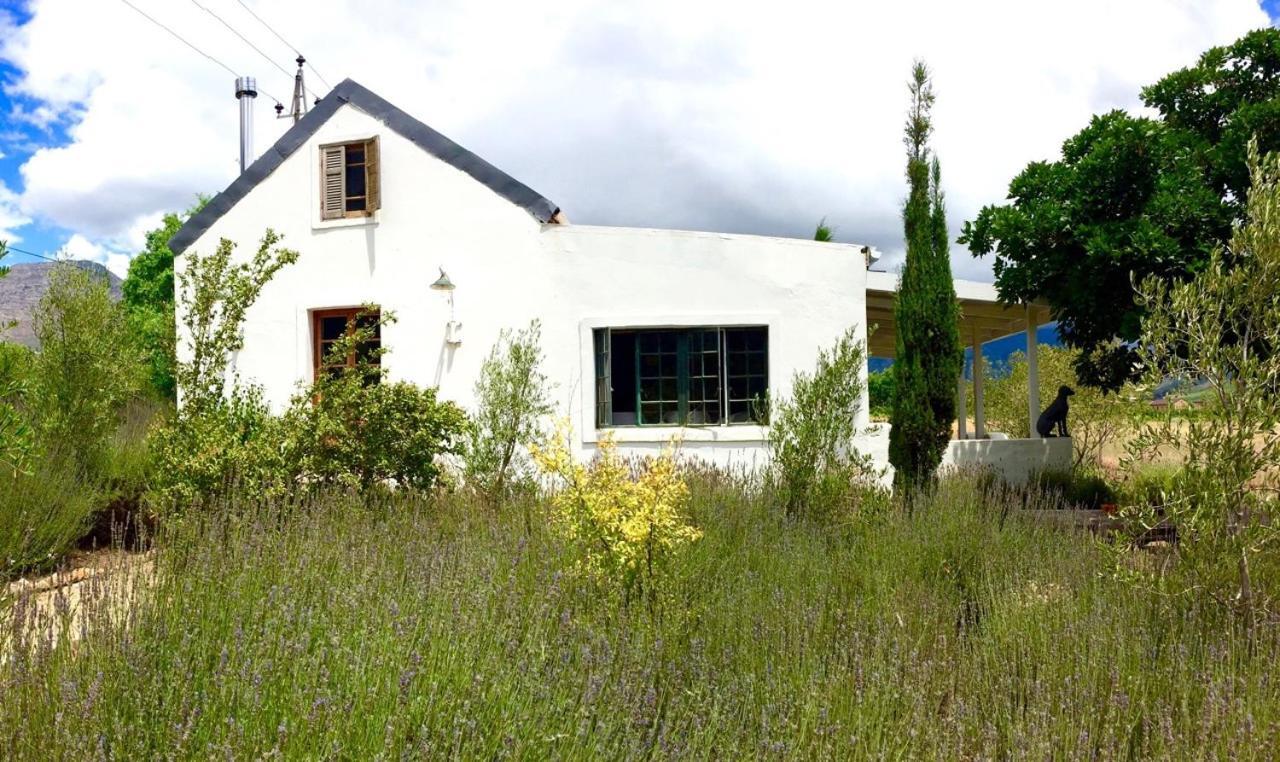Designer Farm Cottage On Farm Franschhoek Buitenkant foto